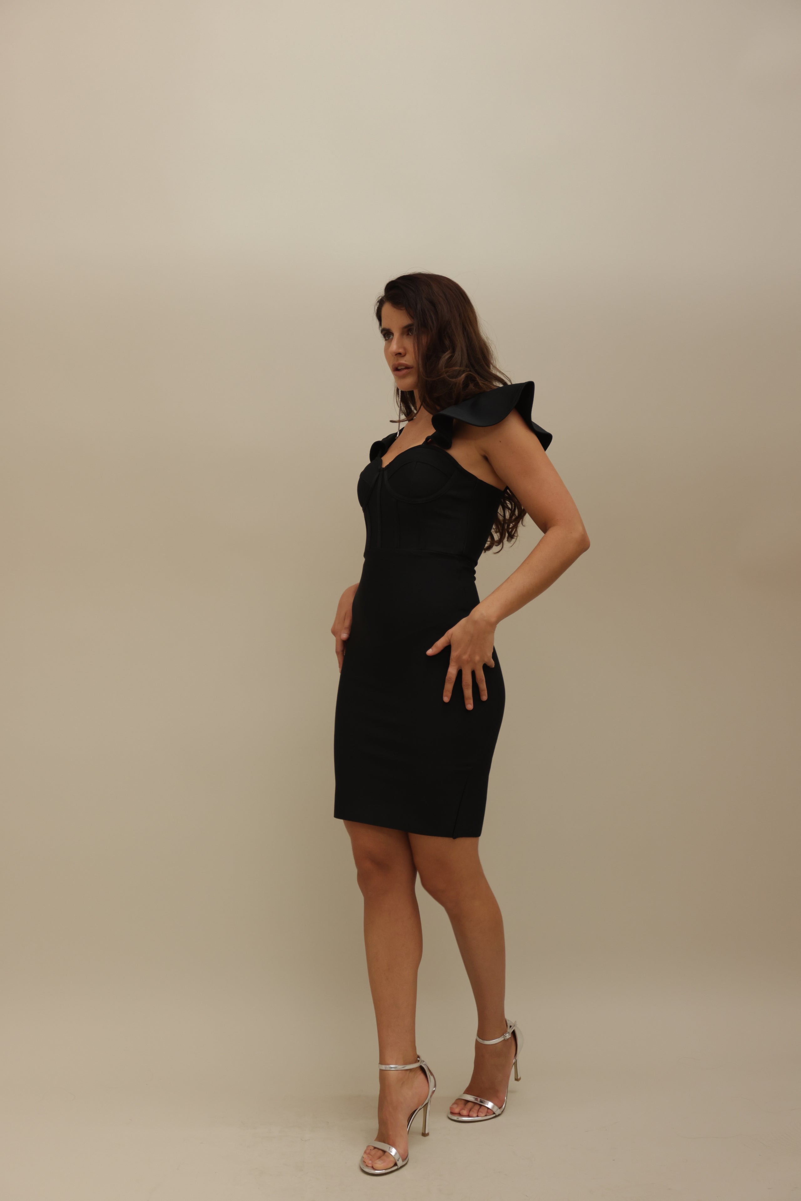 Sculpted Elegance Corset Dress